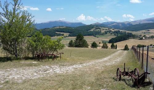 Agroturismo Il Cardo