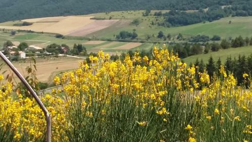 Agroturismo Il Cardo