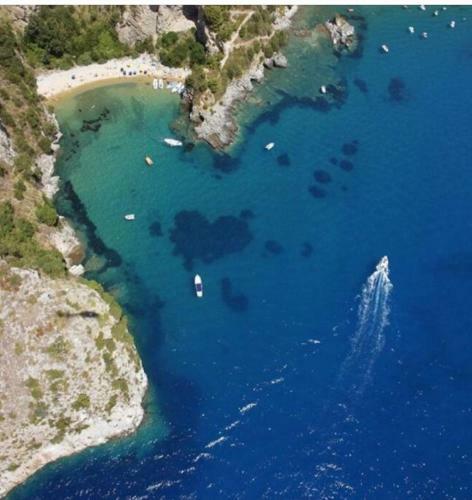 Casa Tra Mare E Oliveti