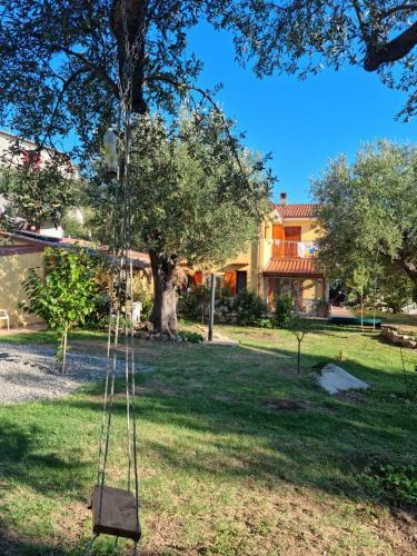 Casa Tra Mare E Oliveti