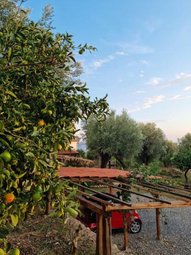 Casa Tra Mare E Oliveti