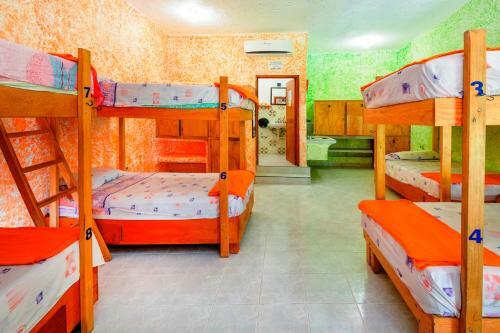 Amigos Hostel Cozumel