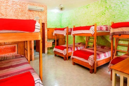 Amigos Hostel Cozumel