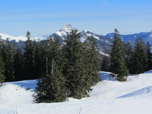 Hostal Hotel-pension-ostler