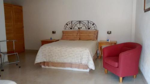 Hotel Ollin Teotl