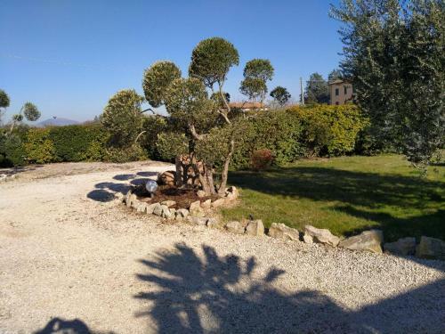 Hostal La Perla Di Assisi