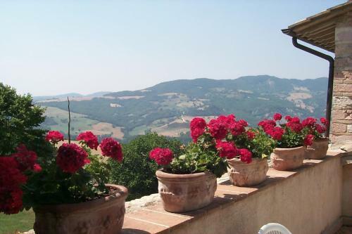 Apartamento L'oasi