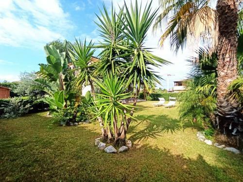 Villa Al Mareluna Village