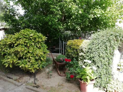 Apartamento Il Canto Dei Galli