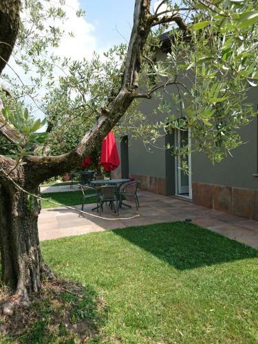 Hostal Il Carpino Bianco