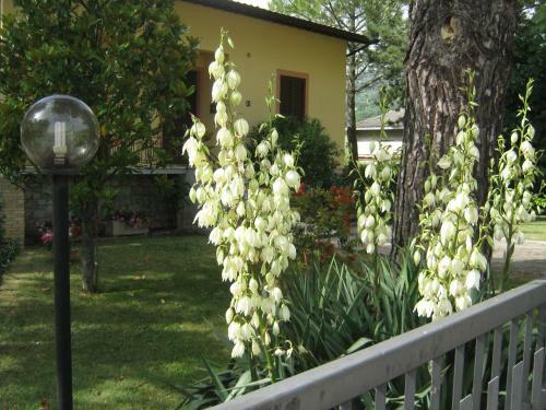 Apartamento Appartamenti Il Borgo