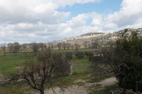 Apartamento Appartamenti Il Borgo