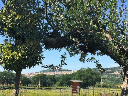 Apartamento Residenza Il Rivo