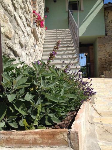 Bed & Breakfast La Corte Del Borgo