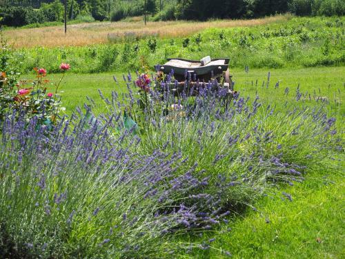 Bed & Breakfast Casa Del Roseto