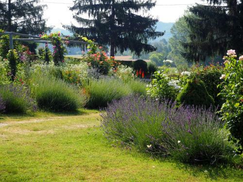 Bed & Breakfast Casa Del Roseto
