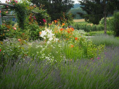 Bed & Breakfast Casa Del Roseto