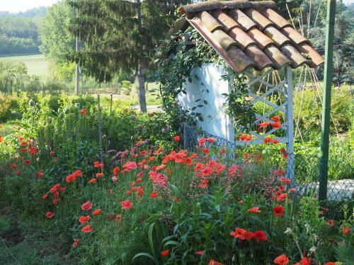 Bed & Breakfast Casa Del Roseto
