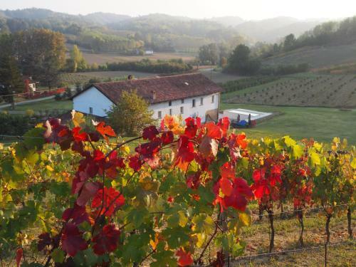 Bed & Breakfast Casa Del Roseto