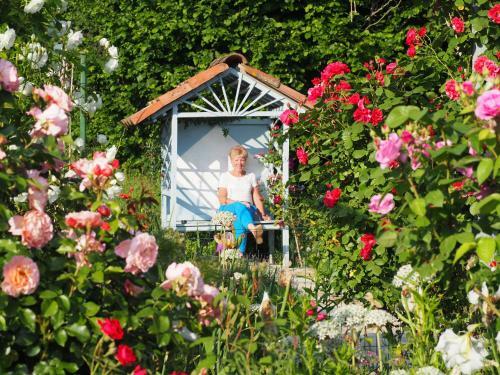 Bed & Breakfast Casa Del Roseto