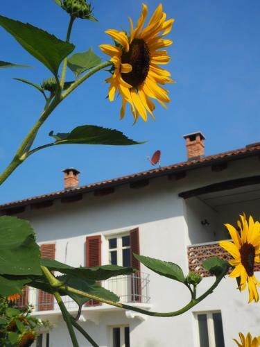 Bed & Breakfast Casa Del Roseto