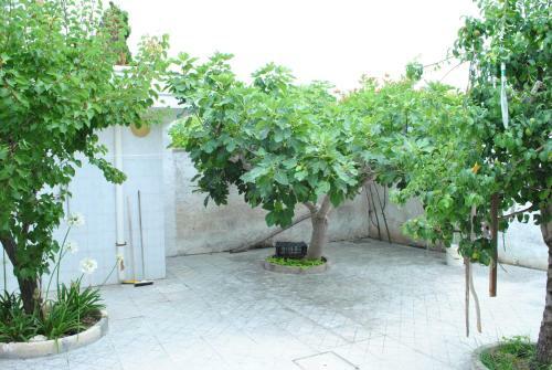 Apartamento Residenza Del Sole Mare