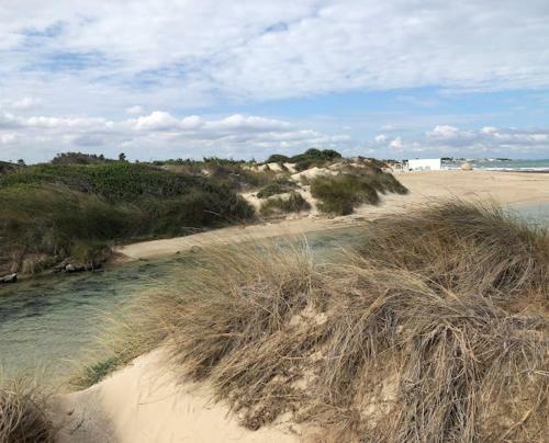 Salento Beach House (villa Idume)