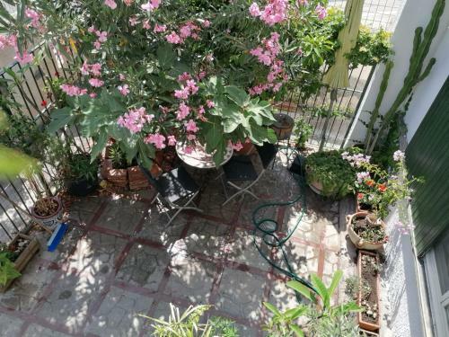 Apartamento Maison Benny
