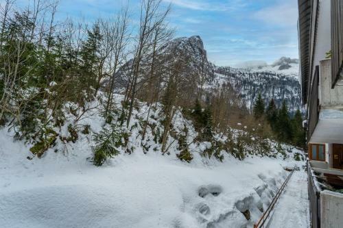 Apartamento Apt Scricciolo Nel Cuore Di Sella Nevea