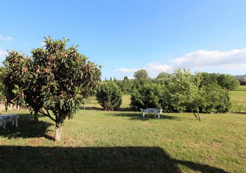 Villa Deluxe In Irpinia - Villa Green