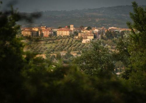 Villa Deluxe In Irpinia - Villa Green