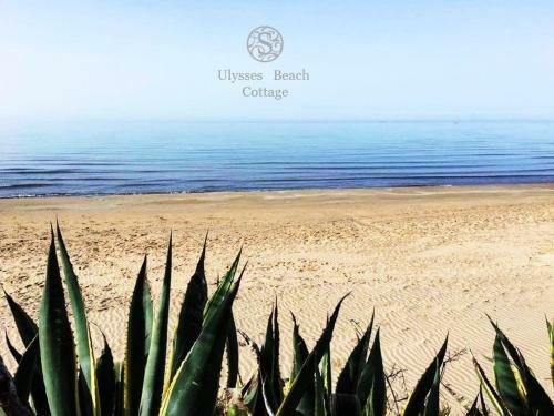 Apartamento Casa Sulla Spiaggia Con Accesso E Spiaggia Privata