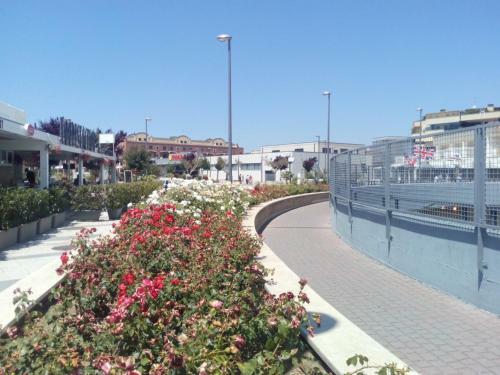 Mezzocammino Short Rent Apartment - Ciu5125