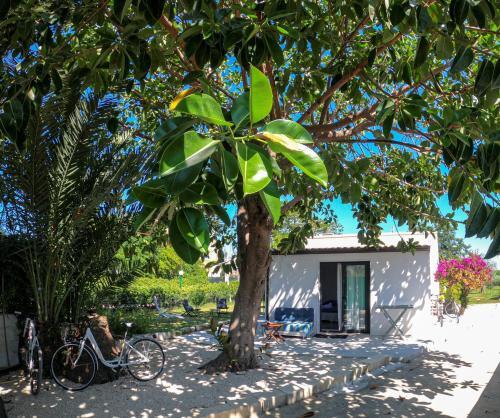 Hostal Mayana Sicily - The Suites