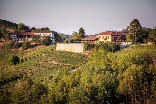 Villa Vinory - La Mandragola