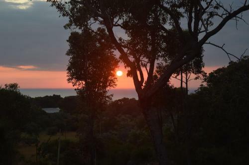 Bed & Breakfast Eagle Bay House