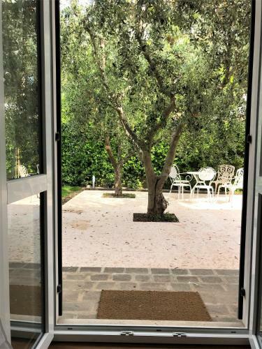 Hostal Green Corner Ulivo