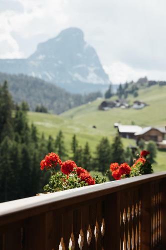 Chalet Rich