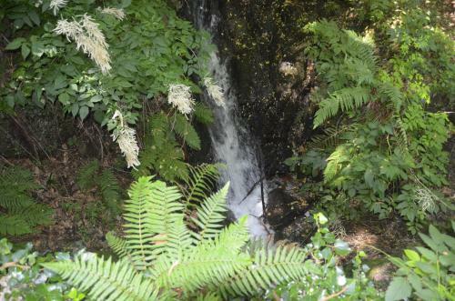 Apartamento Anma Cottages The Secret Garden