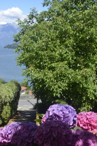 Apartamento Anma Cottages The Secret Garden