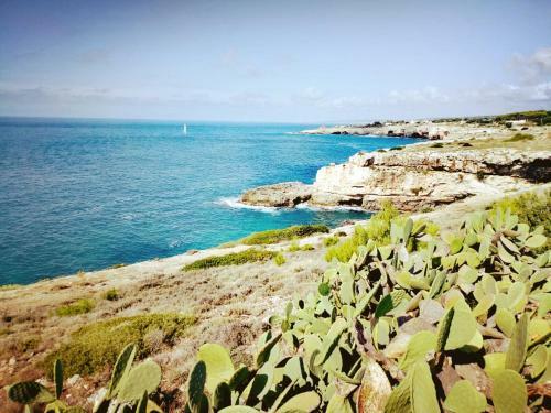 Casa Vacanze Salento