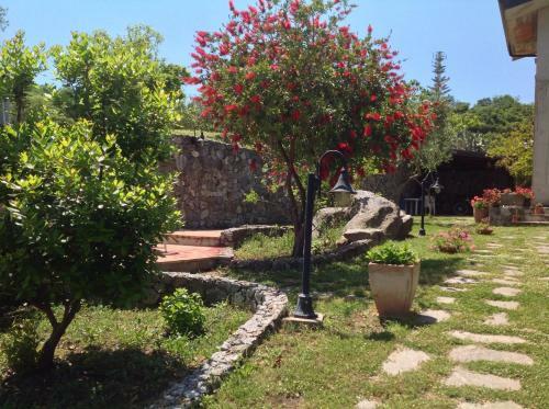 Bed & Breakfast B & B Korello