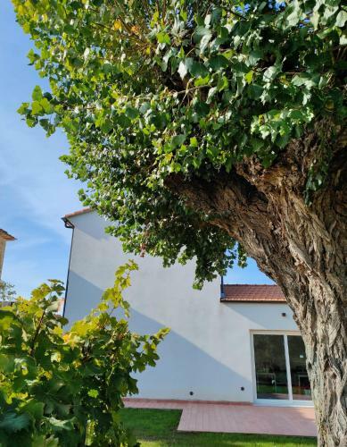 La Casa Vecchia Bed&breakfast