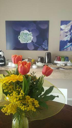 Bed & Breakfast Il Colore Dei Sogni