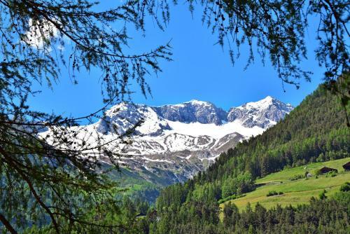 Apartamento Alpenchalet Niederkofler Marilena