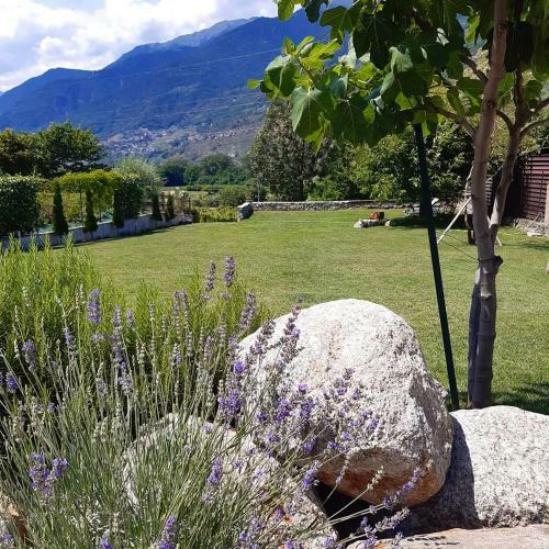 Apartamento Ca' Dottori