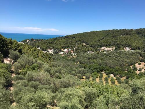 Apartamento Villa Pineta Vista Mare