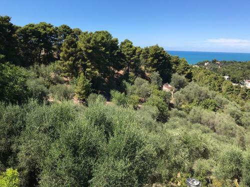 Apartamento Villa Pineta Vista Mare