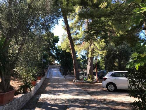 Apartamento Villa Pineta Vista Mare