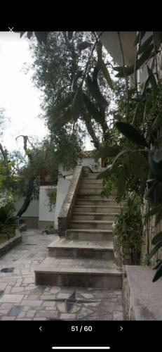 Apartamento Villa Pineta Vista Mare